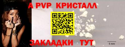ГАЛЛЮЦИНОГЕННЫЕ ГРИБЫ Кингисепп