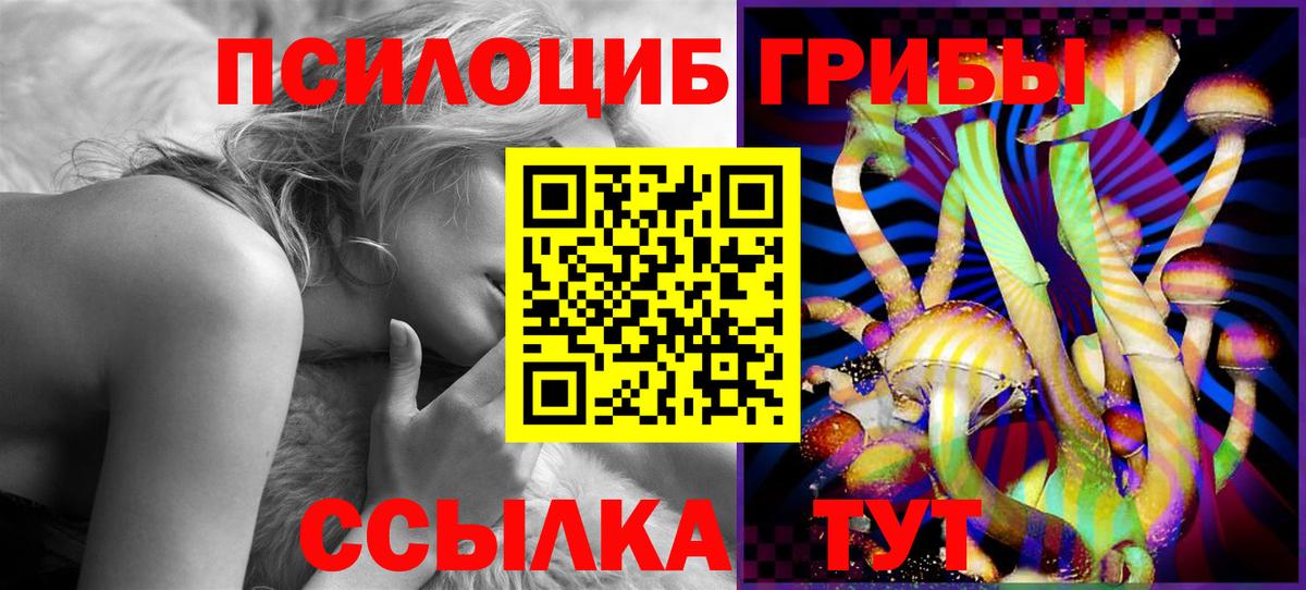 Галлюциногенные грибы Cubensis  Вход с VPN  Волоколамск 