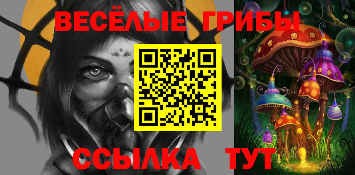 Псилоцибиновые грибы Psilocybe Волоколамск